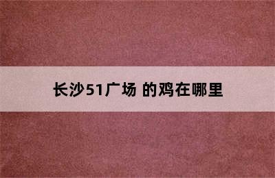 长沙51广场 的鸡在哪里